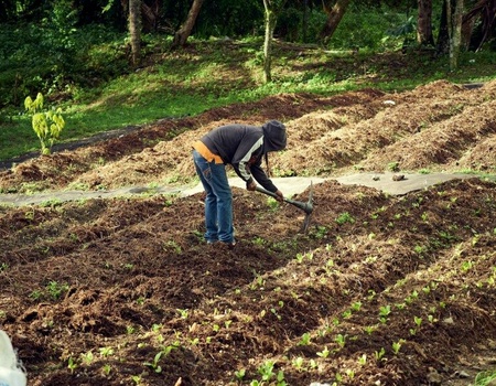 Circuit Rendez-vous en équateur - De Quito A Guayaquil - 4