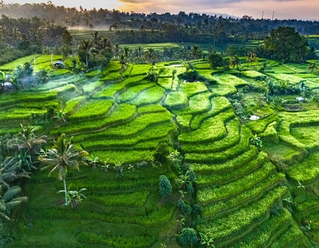 Perles de Bali & Java - extension 2 nuits Nusa Dua 5*(nl) -15J/12N - 2026 - 4