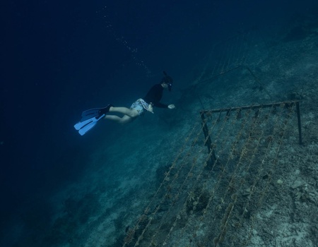 Hotel Banyan Tree Vabbinfaru 5* - 3