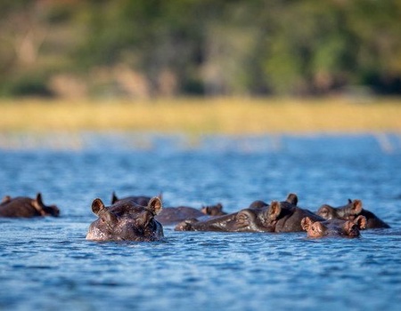 Circuit des Chutes Victoria au désert du Namib - Zimbabwe, Afrique Océan Indien - Image 3