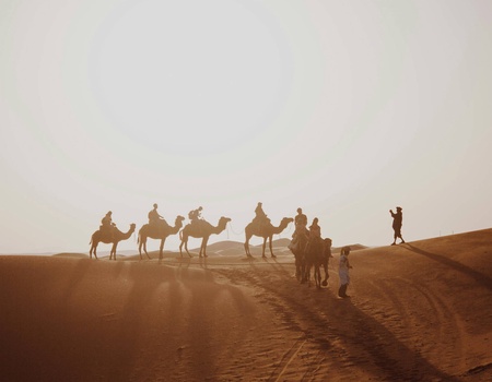 Circuit Au fil des oasis et des dunes : voyage au Maroc ancestral