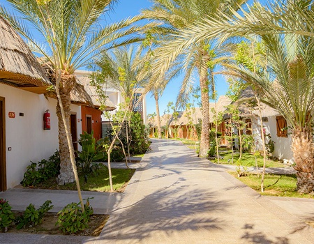 Ôclub Experience Panorama Bungalows Resort El Gouna 4* - 3