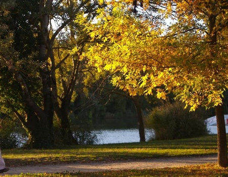 Camping Le Rupé, 3*
