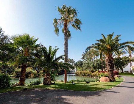 TUI Sélection Riu Tikida Dunas - Choix Flex **** - 3