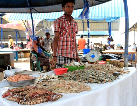 Circuit Découverte du Sri Lanka + Séjour balnéaire aux Maldives - 4