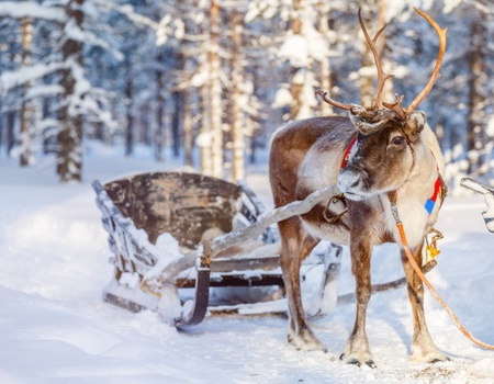 Club Framissima Cape East (activités incluses) - 5