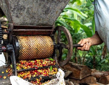 Circuit Visages de la Colombie - Extension Iles du Rosaire - Circuit privé - 3