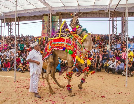 Merveilles de l'Inde du Nord - Spécial Fête de Pushkar - 15J/12N - 2026 - 2