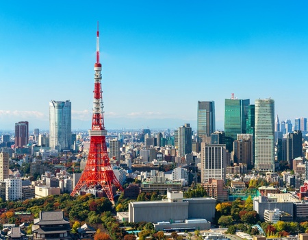 Circuit Individuel : Japon mythique et îles tropicales - 3** - Osaka, Japon - Image 3