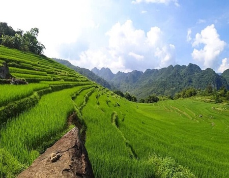 Circuit Splendeurs du Vietnam - 3