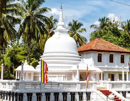 Circuit Incontournable Sri Lanka et Ôclub Experience Canareef Resort 4* - 3