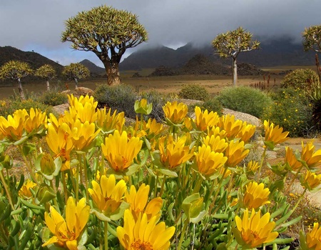 Circuit Chemins oubliés d'Afrique australe - 5