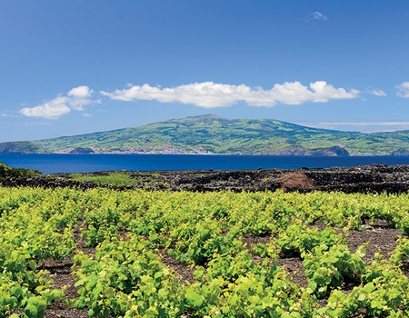 Le Grand Tour des Açores - 4