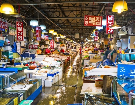 Combiné : La Traversée du Japon et de la Corée - STD* - 5