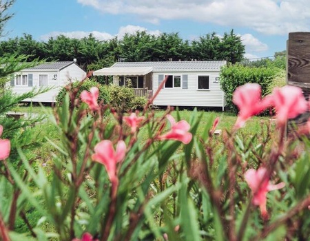 Camping Paradis Les Pins Royan 4* - - Royan - Saint-Palais-sur-Mer - Charente-Maritime - Saint Palais sur Mer, Atlantique Nord - Image 1