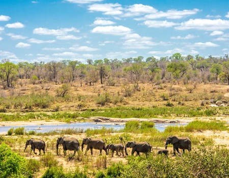 circuit-splendeurs-du-parc-kruger