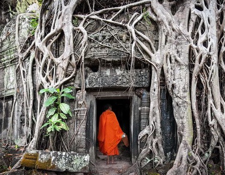 LA CANTATE EXT HALONG PT PRINCIPAL CAT HUBLOT - 2