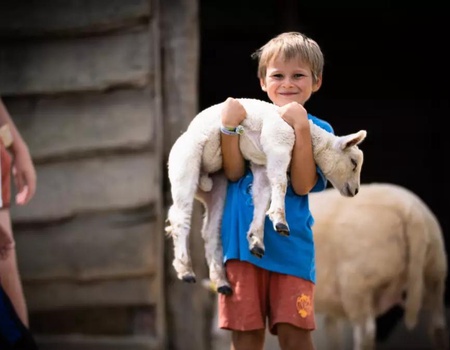 Camping Ferme Pédagogique de Prunay, 4* - 5