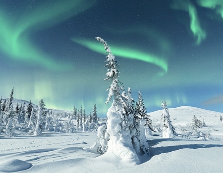 Hôtel Ôclub Experience Holiday Club Katinkulta - 1