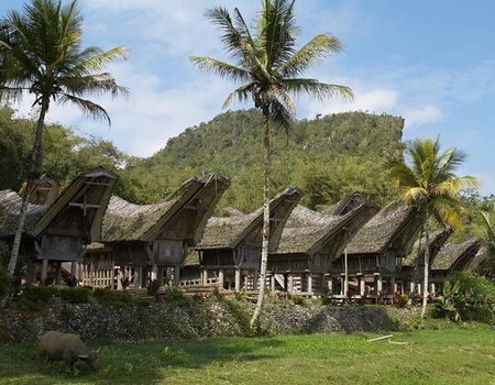 LA PALETTE INDONESIENNE EXT KOMODO - 5