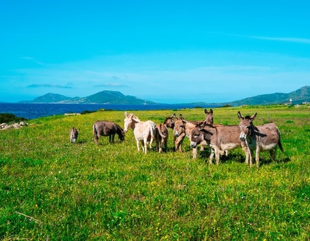 Autotour Sardaigne 10 nuits - Arrivée Cagliari - 5