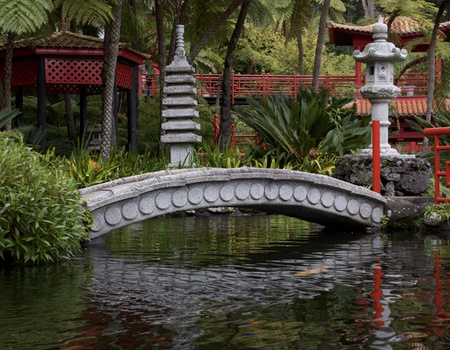 Madère en liberté - Flex - Madère - 5