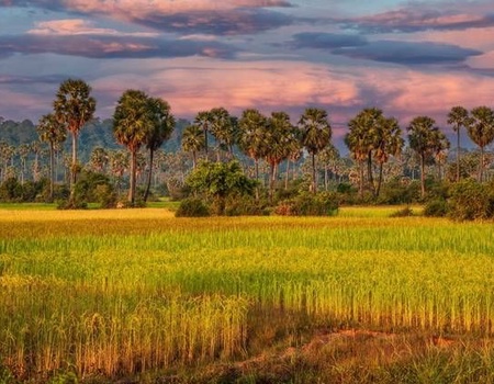 CIRCUIT KHMER HERITAGE ET LA VILLA DES POIVRES - 3