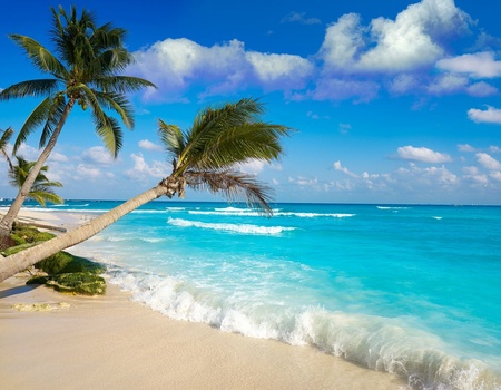 Sur la route: Les beautés du Yucatan - 11J/9N - 2