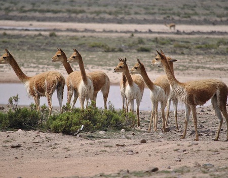 Circuit Regard sur le Pérou - 4
