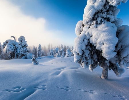 Séjour accompagné Multi-activités à Rovaniemi - Rovaniemi, Finlande - Image 3