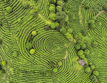 Circuit privé Nature et temples du Sri Lanka - 1