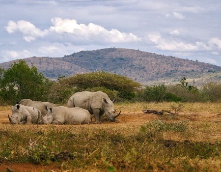 Circuit Splendeurs d'Afrique du Sud & Eswatini - Le Cap, Afrique du Sud - Image 1