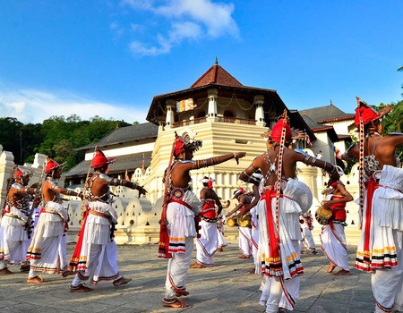 Circuit Découverte et détente au Sri Lanka - 5