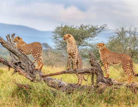 Circuit Splendeurs du Parc Kruger - Johannesbourg, Afrique du Sud - Image 1