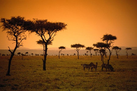 Safari Tsavo East 3J/2N et Séjour au Kappa Club AHG Lion Beach Resort 4*nl - 1