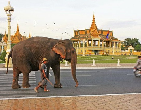 CIRCUIT PASSION KHMERE CONFORT - 2