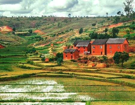 Circuit Mosaïque Malgache - 5