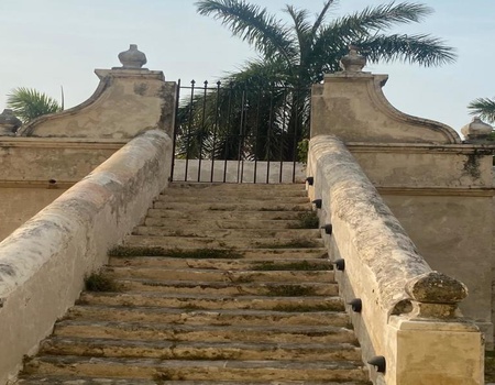 Circuit Yucatan en train - 4