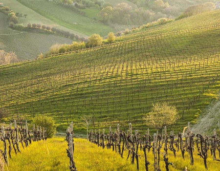 Week-end en villa dans les collines toscanes avec dégustation de vins et spa - 5*