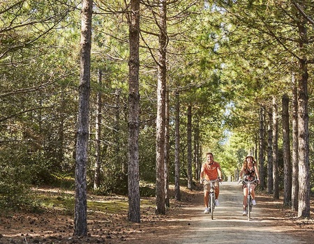 Camping Siblu Le Bois Masson 4* - Funpass inclus - 4