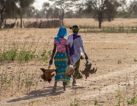 Circuit Beautés et sensations en pays Bassari en privatif - 1