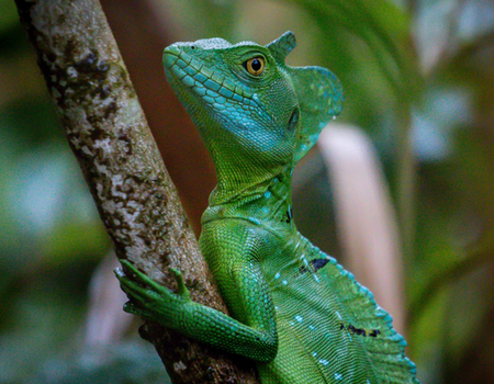 Circuit Autotour Les Chemins de la Découverte - 4