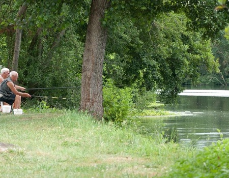 Camping Les portes de l'Anjou, 3* - 5