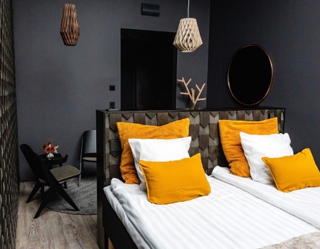 Hôtel Deluxe Rinne (activités incluses) - 5