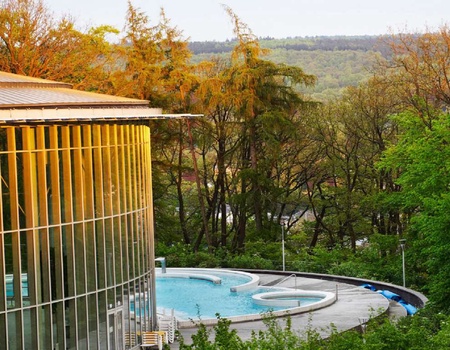 Cure thermale et demi-pension au coeur de vallée de Spa - 4* - 1