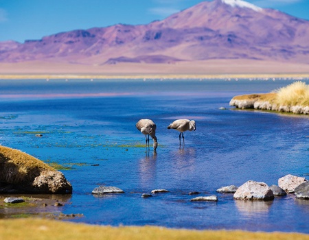 Circuit Confidentiel Chili et extension île de Pâques - 3