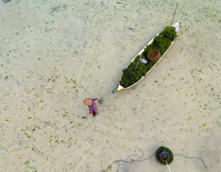 Combiné Des Rizières de l'île des Dieux aux eaux turquoise de Nusa Lembongan - 3