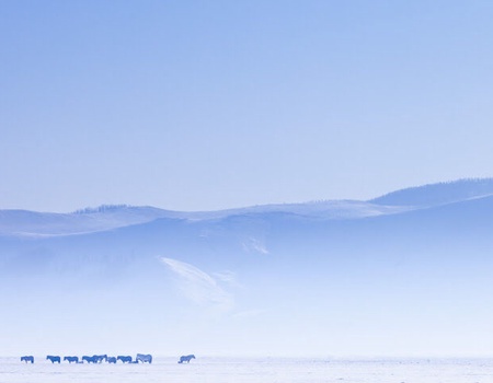 Circuit En terres Tsaatan - 5