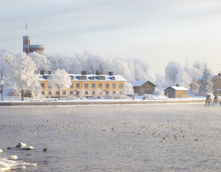 Autour de Noël : de Stockholm à la Laponie Suédoise - 2