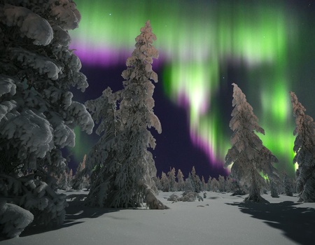 Club Coralia Laponie Ivalo - Ivalo, Finlande - Image 1